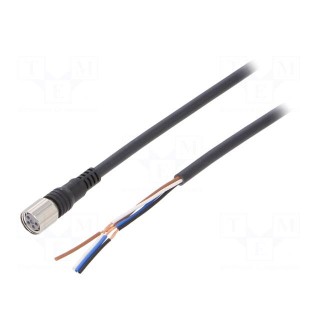 Connection lead | M8 | PIN: 4 | straight | 2m | plug | 1A | 0÷70°C | IP67