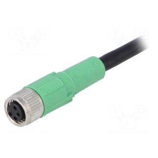 Connection lead | M8 | PIN: 4 | straight | 5m | plug | 30VAC | 4A | -25÷90°C