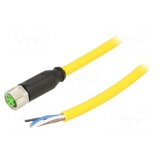 Connection lead | M8 | PIN: 4 | straight | 5m | plug | 50VAC | 4A | -30÷80°C