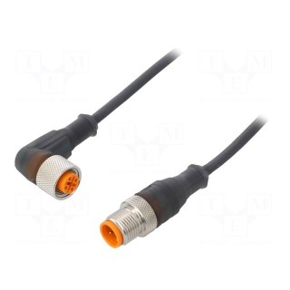 Connection lead | PIN: 3 | 3m | plug | 4A | with LED indicators | IP67