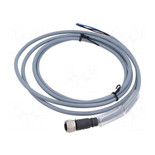 Connection lead | PIN: 4 | straight | 2m | M12 | 250VAC | 4A | Cores: 4 | PUR