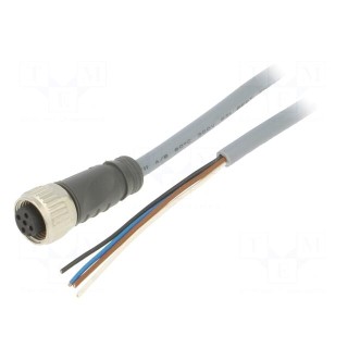 Connection lead | PIN: 4 | straight | 2m | M12 | 250VAC | 4A | Cores: 4 | PVC