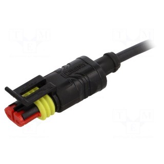 Connection lead | PIN: 2 | straight | 1.5m | plug | 24VAC | 8A | -20÷85°C