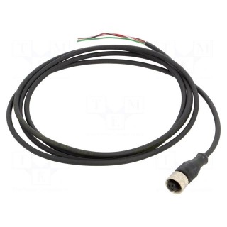 Connection lead | UNF 1/2-20 | PIN: 3 | straight | 2m | plug | 250VAC | 4A