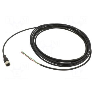 Connection lead | UNF 1/2-20 | PIN: 3 | straight | 5m | plug | 250VAC | 4A