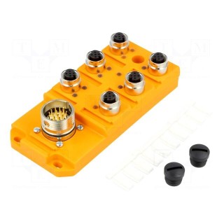 Distribution box | M12 | PIN: 5 | socket | 4A | with LED indicators