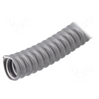 Protective tube | Size: 19 | PVC | grey | -25÷80°C | SILVYN® FPS