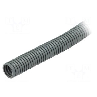 Protective tube | Size: 23 | polyamide 12 | grey | L: 50m | -50÷95°C | PIS