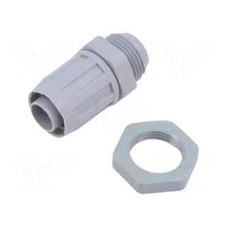 Straight terminal connector | Thread: metric,outside | -35÷80°C