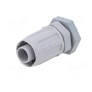 Straight terminal connector | Thread: metric,outside | -35÷80°C