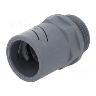 Straight terminal connector | Thread: PG,outside | polyamide | grey