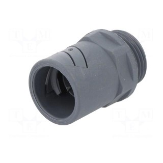 Straight terminal connector | Thread: PG,outside | polyamide | grey