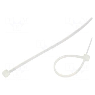 Cable tie | externally serrated | L: 100mm | W: 2.5mm | polyamide | 80N