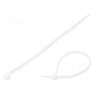 Cable tie | L: 100mm | W: 2.5mm | polyamide | 80N | natural | 100pcs.