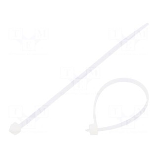 Cable tie | L: 100mm | W: 2.5mm | polyamide | 80N | natural | Ømax: 20.5mm