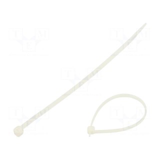 Cable tie | L: 160mm | W: 2.5mm | polyamide | 80N | natural | 100pcs.