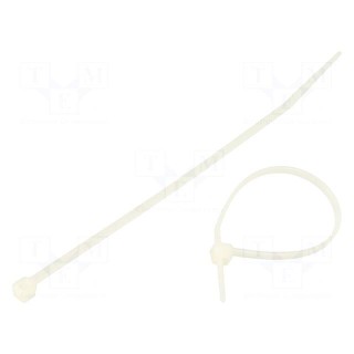 Cable tie | L: 120mm | W: 2.5mm | polyamide | 80N | natural | 100pcs.