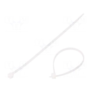 Cable tie | L: 120mm | W: 2.5mm | polyamide | 80N | natural | Ømax: 27mm