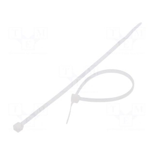 Cable tie | L: 120mm | W: 2.5mm | polyamide | 80N | natural | Ømax: 30mm