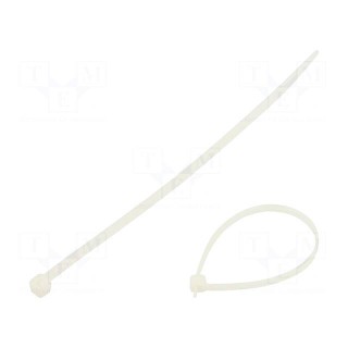 Cable tie | L: 200mm | W: 2.5mm | polyamide | 80N | natural | 100pcs.