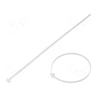 Cable tie | L: 206mm | W: 3.4mm | polyamide | 178N | natural | Ømax: 51mm