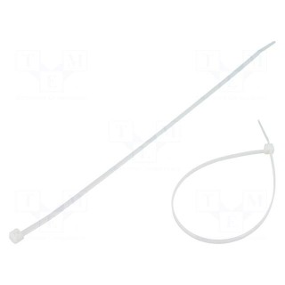 Cable tie | L: 250mm | W: 3.6mm | polyamide | 177N | natural | Ømax: 66mm