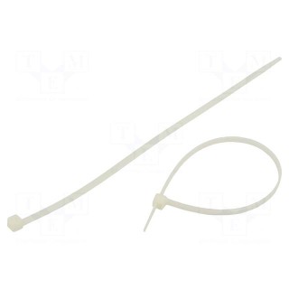 Cable tie | L: 250mm | W: 4.8mm | polyamide | 220N | natural | 100pcs.