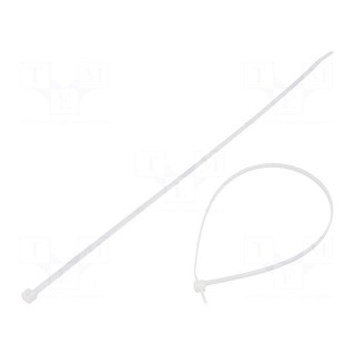 Cable tie | L: 290mm | W: 3.7mm | polyamide | 178N | natural | Ømax: 76mm