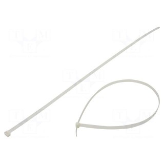 Cable tie | L: 900mm | W: 12.5mm | polyamide | 1112N | natural