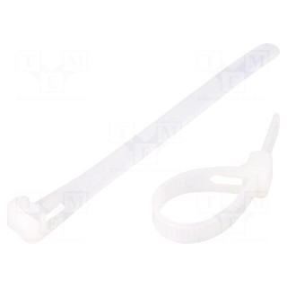 Cable tie | multi use | L: 100mm | W: 7.2mm | polyamide | natural