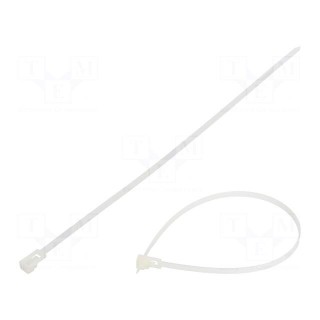 Cable tie | multi use | L: 280mm | W: 4.8mm | polyamide | 222N | natural