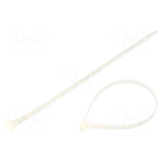 Cable tie | multi use | L: 300mm | W: 7.6mm | polyamide | 230N | natural