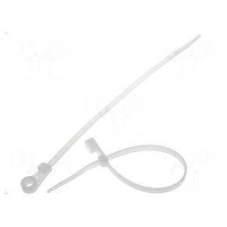 Cable tie | with a hole for screw mounting | L: 171.5mm | W: 3.7mm