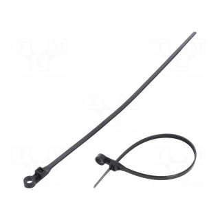 Cable tie | with a hole for screw mounting | L: 220mm | W: 4.8mm