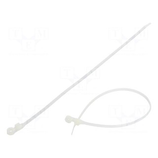 Cable tie | with a hole for screw mounting | L: 300mm | W: 4.8mm