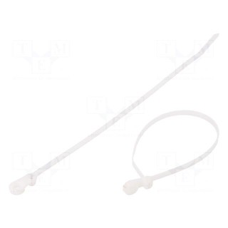 Cable tie | with a metal clasp,with fixing lugs | L: 216mm | 222N