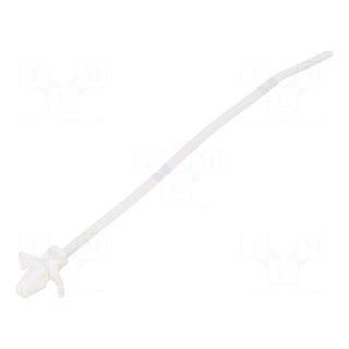 Cable tie | with fixing lugs | L: 109mm | W: 2.5mm | polyamide | 80N