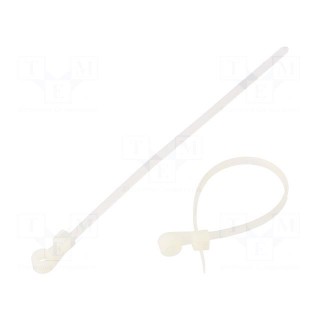 Cable tie | with fixing lugs | L: 110mm | W: 2.5mm | polyamide | 80N