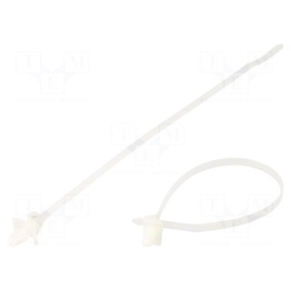 Cable tie | with fixing lugs | L: 168mm | W: 3.6mm | polyamide | 178N