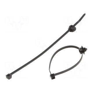 Cable tie | with fixing lugs | L: 202mm | W: 4.6mm | polyamide | 225N