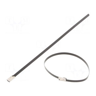 Cable tie | L: 200mm | W: 4.6mm | stainless steel AISI 304 | 450N