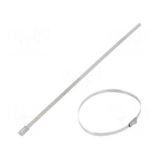 Cable tie | L: 201mm | W: 4.6mm | stainless steel AISI 304 | 890N