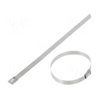 Cable tie | L: 201mm | W: 7.9mm | stainless steel AISI 304 | 2kN