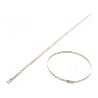 Cable tie | L: 260mm | W: 4.6mm | acid resistant steel AISI 316 | 445N