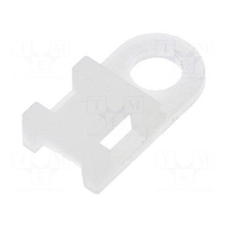 Holder | screw | polyamide | natural | B: 5.5mm | H: 5mm | L: 19mm | T: 5mm