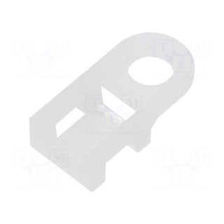 Holder | screw | polyamide | natural | B: 5.5mm | H: 5mm | L: 19mm | T: 5mm