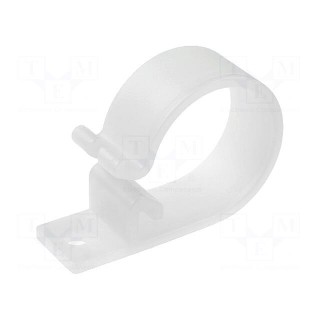 Fixing clamp | 21mm | polyamide | natural | Cable P-clips