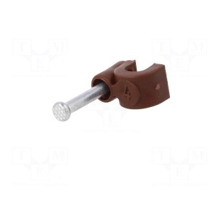 Holder | brown | Application: on round cable | 25pcs | with a nail