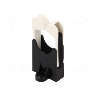 Screw mounted clamp | polyamide | black | W: 30mm | L: 28.4mm | H: 56.1mm
