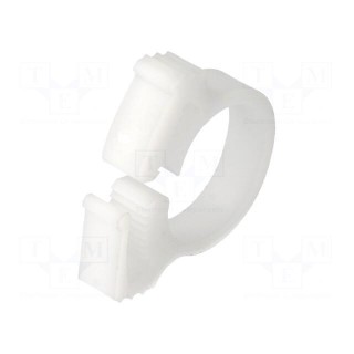 Fixing clamp | ØBundle : 13.7÷15.3mm | W: 6mm | POM | natural | -40÷85°C